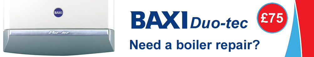 Baxi Duo-tec Boiler Error Fault Code E110