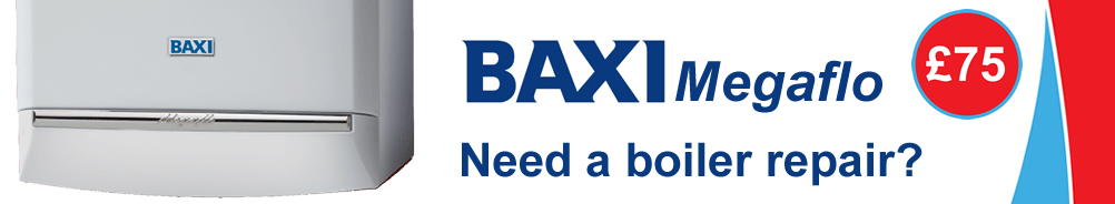 Baxi Megaflo Boiler Error Fault Code E28