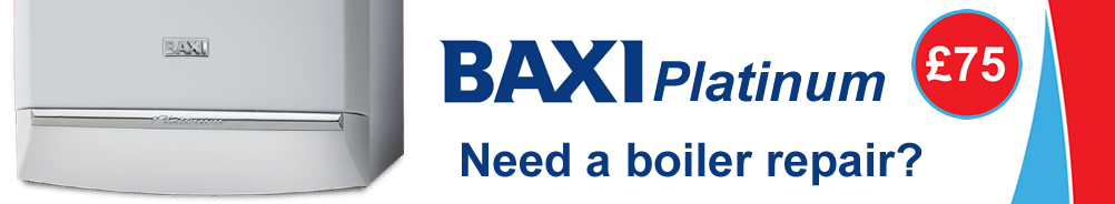 Baxi Platinum Boiler Error Fault Code E130