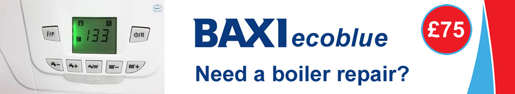 Baxi ecoblue Boiler Error Fault Code E109